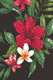 10'U hene Hibiscus plumeria, fern and palm fronds on cotton apparel fabric