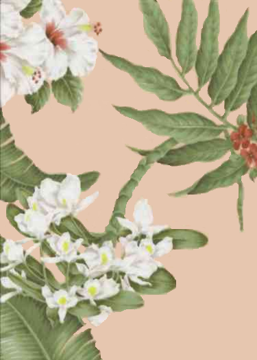 14pua  Tropical Botanical Vintage Hawaiian Fabric Hawaiian Orchids, Bougainville & Hibiscus flowers - cotton barkcloth fabric.