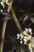 Tropical Hawaiian bamboo with flowers on a non-upholstery barkcloth fabric