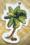 palm