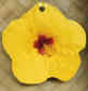 yello hibiscus