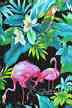 44" wide cotton broadcloth