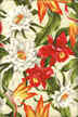 44" wide non-upholstery grade cotton barkcloth