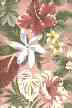 44" wide cotton broadcloth