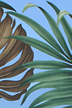 All-Over. Monstera ferns and palm fronds.