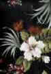 10lehua