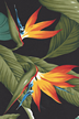 Vintage Style Hawaiian  Vintage Style Hawaiian bird of paradise flowers.