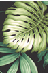 monstera
 		 and palm fronds - tropical vintage style, Hawaiian botanical fabric..