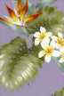 11ola Tropical Botanical Vintage Hawaiian Fabric bird of paradise & plumeria flowers, cotton apparel fabric.