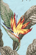 20ka'ena Bird of Paradise flowers, palm fronds, monstera, & ti leaves
        on a cotton poplin vintage style apparel weight fabric.