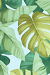 20nakoa - Barkcloth Hawaii Fabrics - Vintage Style Hawaiian. All-Over. Stylized, multi-colored monstera, banana, and taro leaves.