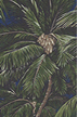 20pama Tropical Botanical Vintage Hawaiian Fabric 20palm palm trees on a cotton apparel fabric.