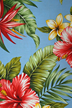 20Pa Wali - Vintage Style Hawaiian Fabrics Tropical Botanical Hawaiian cotton fabric. Pa Wali fabric has hibiscus and plumeria flowers..