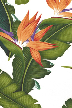 30elelu - Tropical vintage bird of paradise floral fabrics, cream apparel fabric.
