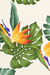 30imi - Bird of paradise and Monstera apparel fabric.