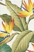 30manawa - manawa   Barkcloth Hawaii Fabrics - Vintage Style Hawaiian Botanical Barkcloth Hawaii Fabrics - Vintage Style Hawaiian Botanical Fabric bird of paradise flowers on a cotton apparel weight fabric.