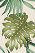 30miha tropical leafy apparel cotton,  - tropical vintage style, Hawaiian botanical flower fabric.
