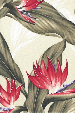30polani Tropical Botanical Vintage Hawaiian Fabric bird of paradise, apparel cotton, Hawaiian vintage style fabric.