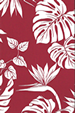 40birdmonstera
        Tropical Hawaiian bird of paradise flowers on an apparel.