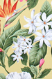 50lehiwa
		- Barkcloth Hawaii - Timeless Hawaiian Fabrics For your Home& Body
        Tropical vintage style, Hawaiian botanical palm tree fabric. cotton apparel fabric.