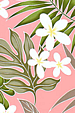 60eo Tropical Botanical Vintage Hawaiian Fabric  Plumeria, ferns and leaves on a pink coral cotton fabric.
