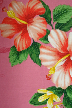Kuina - Barkcloth Hawaii Fabrics - Vintage Style Hawaiian Fabric
			   Tropical botanical cotton apparel fabric.