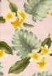 60papa Plumeria flowers on cotton broadcloth apparel fabric. .