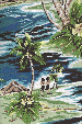 70isles Tropical Hawaiian Vintage Hula Girls, Diamond Head, palm trees, scenic print - on a cotton Hawaiian apparel fabric.