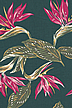 70kilou - Barkcloth Hawaii Fabrics - Vintage Style Hawaiian All-Over. Bird of paradise flowers.