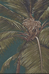70pama Tropical Botanical Vintage Hawaiian Fabric 70palm palm trees on a cotton apparel fabric.