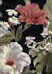 Floral Garden Black