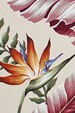 Halekoa -  Tropical Botanical Vintage Hawaiian Fabric -  Banana Leaves and Bird of Paradise Flowers on cotton nubby textured upholstery bark cloth fabric.