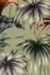 kava sage