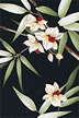 Orchids and bamboo Upholstery Barkcloth