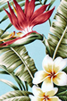 Mauna wili Sky Tropical Hawaiian Bird Of Paradise and plumeria Flowers on bark crepe textured bark cloth fabric