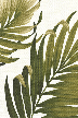 Oasis Ivory