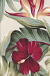 30puahi Tropical Hawaiian Bird Of Paradise and Hibiscus Flowers on apparel weight cotton fabric.
