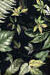 Wao Black Barkcloth Upholstery - Leafy, Hawaiian vintage style fabric