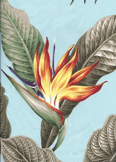 20ka'ena - Bird of Paradise flowers, palm fronds, monstera, & ti leaves on a cotton poplin vintage style apparel weight fabric.