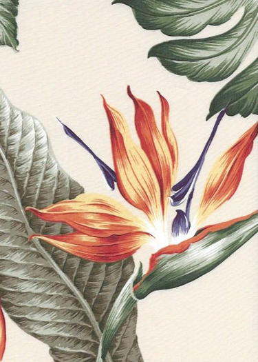 30ka'ena - Bird of Paradise flowers, palm fronds, monstera, & ti leaves on a cotton poplin vintage style apparel weight fabric.