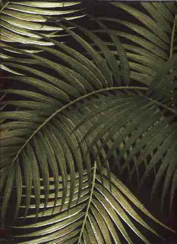 mana black Tropical Hawaiian palm fronds, cotton nubby bark cloth upholstery fabric