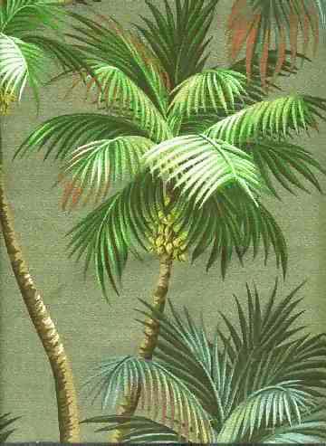 Click here for an overall view 