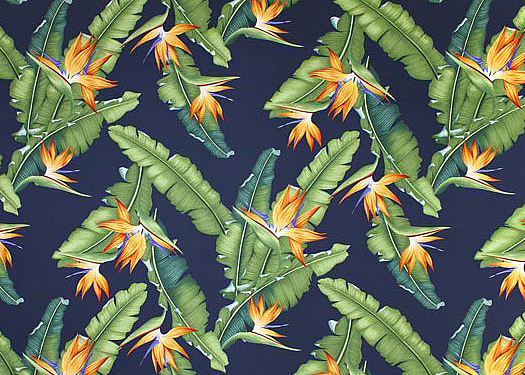 20eleu Tropical Hawaiian Bird of paradise with banana leaves.