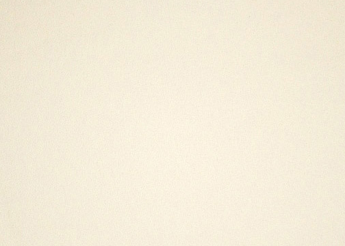 Cream Solid Upholstery Bark cloth fabric.