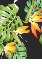 10imi All-Over. Bird of paradise and monstera.