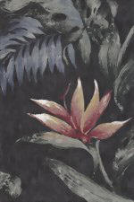 10kamakoi  - tropical vintage style, Hawaiian botanical fabric.