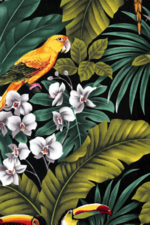 10mamo Birds - Parrots and Macaws with orchid flowers, cotton apparel fabric.