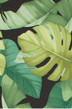 20nakoa All-Over. Stylized, multi-colored monstera, banana, and taro leaves..