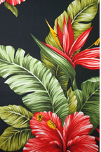 10pawali fabric