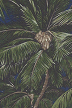 20pama Tropical Hawaiian palm trees on an apparel.